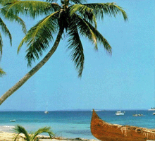 海南三亞暑假旅游推薦